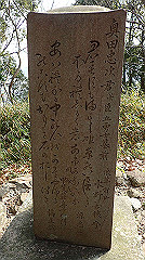 p3080290_thumb.jpg
