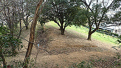 p3080293_thumb.jpg