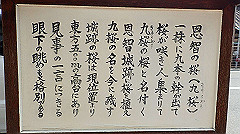 p3080302_thumb.jpg