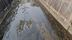 p3080305_thumb.jpg
