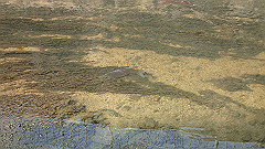 p3080306_thumb.jpg