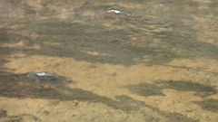 p3080307_thumb.jpg