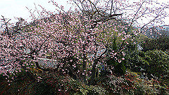 p3080316_thumb.jpg