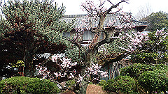 p3080317_thumb.jpg