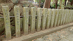 p3080323_thumb.jpg