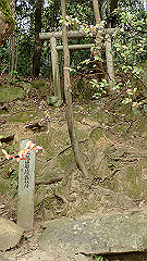 p3080334_thumb.jpg