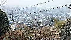 p3080340_thumb.jpg