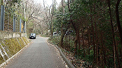 p3080341_thumb.jpg