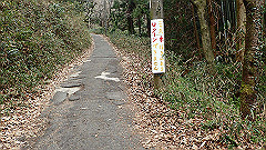 p3080342_thumb.jpg