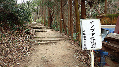 p3080345_thumb.jpg