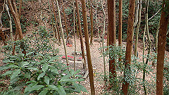 p3080346_thumb.jpg