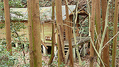 p3080347_thumb.jpg