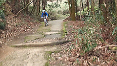 p3080348_thumb.jpg