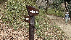 p3080350_thumb.jpg