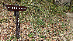 p3080351_thumb.jpg