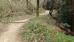 p3080352_thumb.jpg