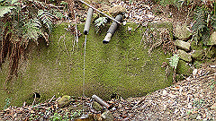 p3080353_thumb.jpg