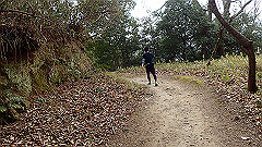 p3080354_thumb.jpg