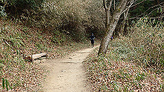 p3080355_thumb.jpg