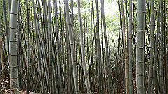 p3080357_thumb.jpg