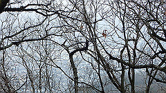 p3080360_thumb.jpg