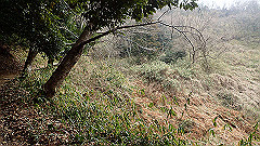 p3080362_thumb.jpg