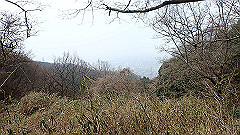 p3080363_thumb.jpg