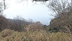 p3080365_thumb.jpg