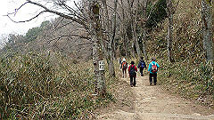 p3080367_thumb.jpg