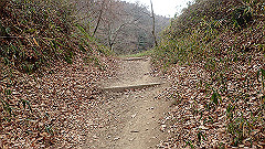 p3080368_thumb.jpg