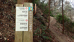 p3080370_thumb.jpg