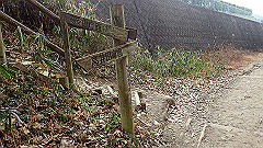 p3080372_thumb.jpg