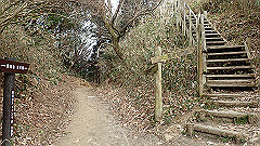 p3080373_thumb.jpg