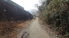 p3080374_thumb.jpg