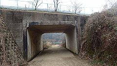 p3080375_thumb.jpg