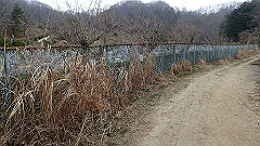 p3080376_thumb.jpg