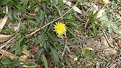 p3080377_thumb.jpg
