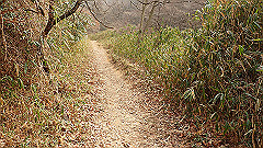 p3080378_thumb.jpg