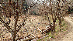 p3080382_thumb.jpg