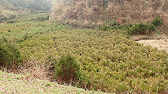 p3080383_thumb.jpg