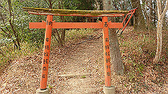 p3080385_thumb.jpg