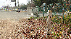 p3080386_thumb.jpg