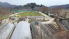 p3080395_thumb.jpg