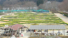 p3080396_thumb.jpg