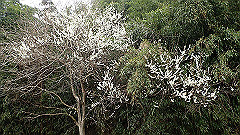 p3080403_thumb.jpg