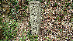 p3080405_thumb.jpg