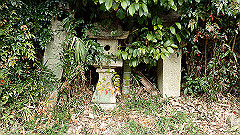 p3080407_thumb.jpg