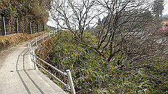p3080410_thumb.jpg