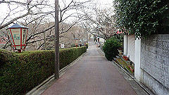 p3080423_thumb.jpg