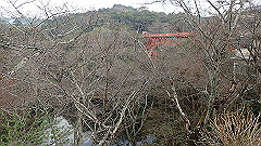 p3080425_thumb.jpg
